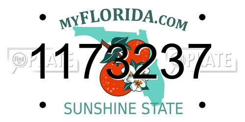 1173237 Florida License Plate