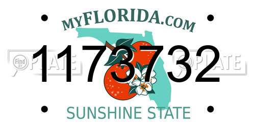 1173732 Florida License Plate
