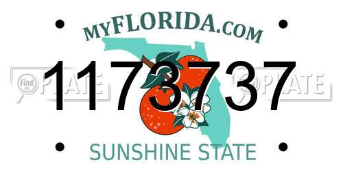 1173737 Florida License Plate