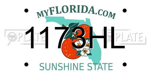 1173HL Florida License Plate
