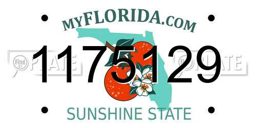 1175129 Florida License Plate