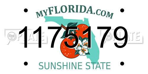 1175179 Florida License Plate