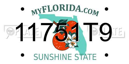 11751T9 Florida License Plate