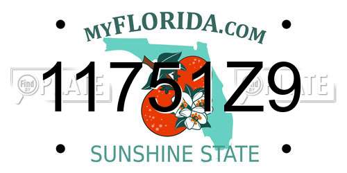 11751Z9 Florida License Plate