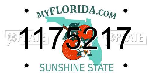 1175217 Florida License Plate
