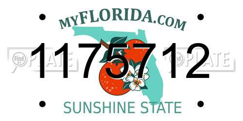 1175712 Florida License Plate