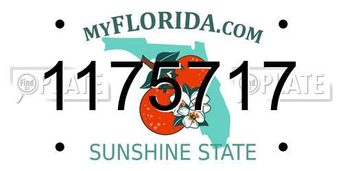 1175717 Florida License Plate