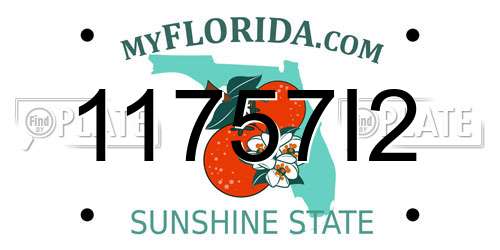 11757I2 Florida License Plate