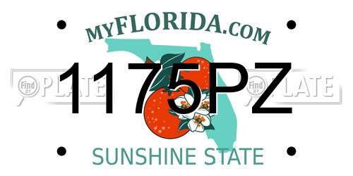 1175PZ Florida License Plate