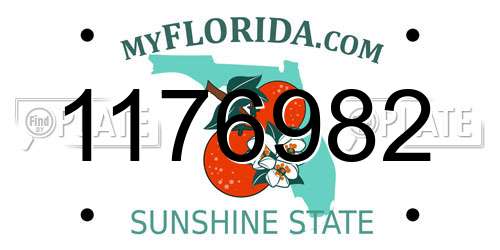 1176982 Florida License Plate