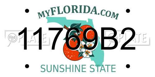 11769B2 Florida License Plate
