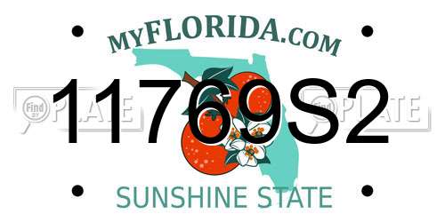 11769S2 Florida License Plate