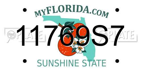 11769S7 Florida License Plate