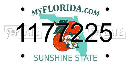 1177225 Florida License Plate