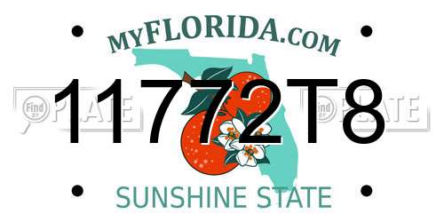 11772T8 Florida License Plate