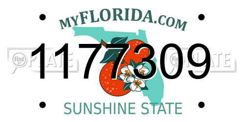 1177309 Florida License Plate