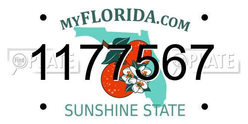 1177567 Florida License Plate