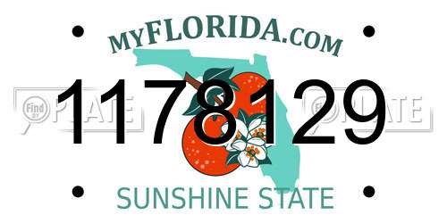 1178129 Florida License Plate