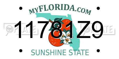 11781Z9 Florida License Plate