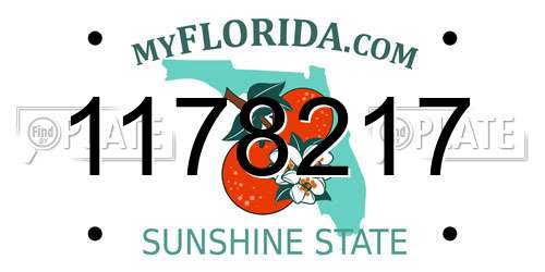 1178217 Florida License Plate