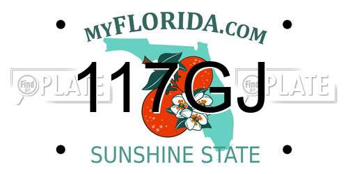 117GJ Florida License Plate