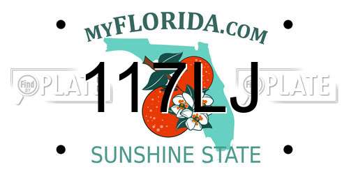 117LJ Florida License Plate