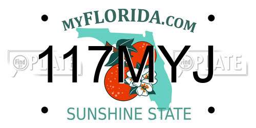 117MYJ Florida License Plate