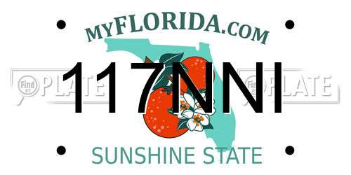 117NNI Florida License Plate