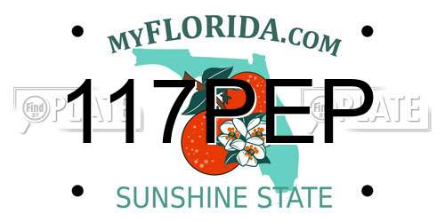 117PEP Florida License Plate