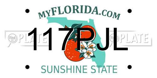 117PJL Florida License Plate