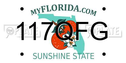 117QFG Florida License Plate