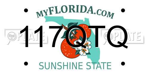117QTQ Florida License Plate