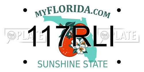 117RLI Florida License Plate