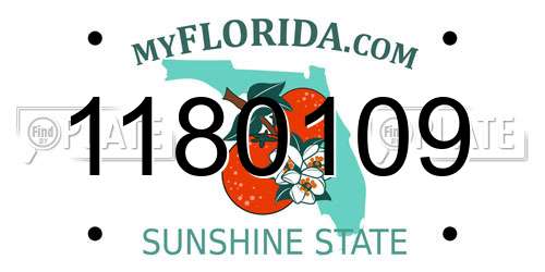 1180109 Florida License Plate
