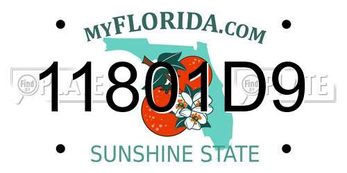 11801D9 Florida License Plate