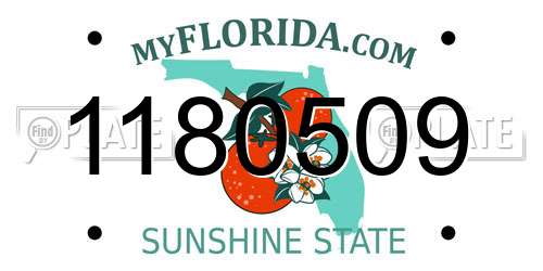 1180509 Florida License Plate