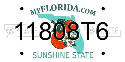 11808T6 Florida License Plate