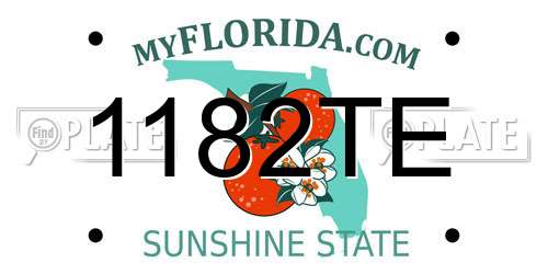 1182TE Florida License Plate