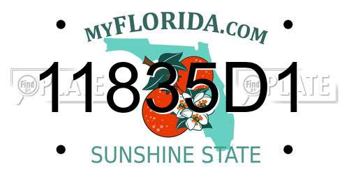 11835D1 Florida License Plate