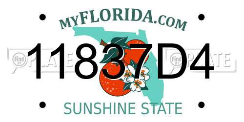 11837D4 Florida License Plate