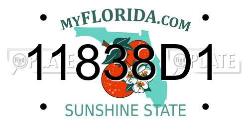 11838D1 Florida License Plate