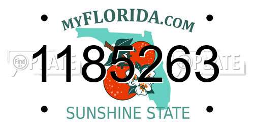 1185263 Florida License Plate