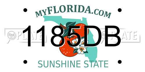 1185DB Florida License Plate