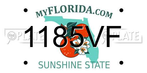 1185VF Florida License Plate