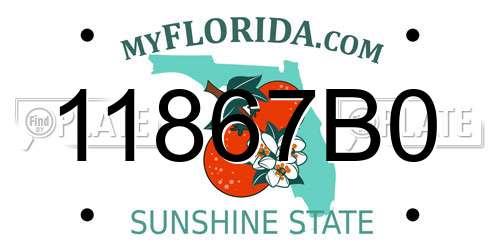 11867B0 Florida License Plate