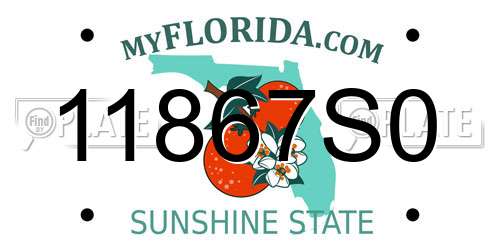 11867S0 Florida License Plate