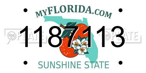 1187113 Florida License Plate