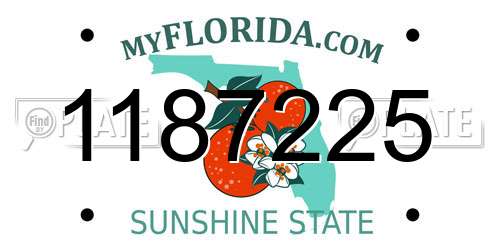 1187225 Florida License Plate