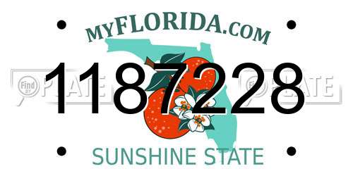 1187228 Florida License Plate