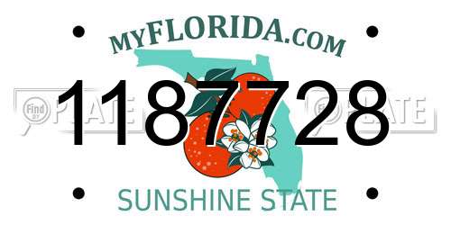 1187728 Florida License Plate